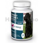 Univit Roboran H pro bílé nebo černé psy 100 tbl – Zboží Dáma