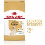 Royal Canin Labrador Retriever Adult 5+ 2 x 12 kg – Sleviste.cz