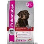 Eukanuba Labrador Retriever 2 x 12 kg – Hledejceny.cz