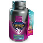 Altervet Cartilan MSM+kurkumin 130 g 100 tbl – HobbyKompas.cz