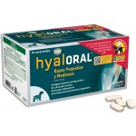 OPKO Health Hyaloral kloubní výživa štěně malý a střední pes 90 tbl. – Sleviste.cz