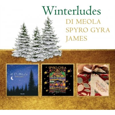 Winterludes - Al Di Meola, Boney James & Spyro Gyra CD