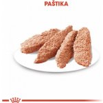 Ferplast Amigo – Hledejceny.cz