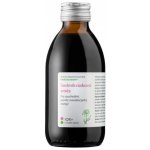 Dědek kořenář Sedmikrásková směs 200 ml – Hledejceny.cz
