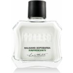 Proraso balzám po holení eukalypt a mentol 100 ml – Hledejceny.cz