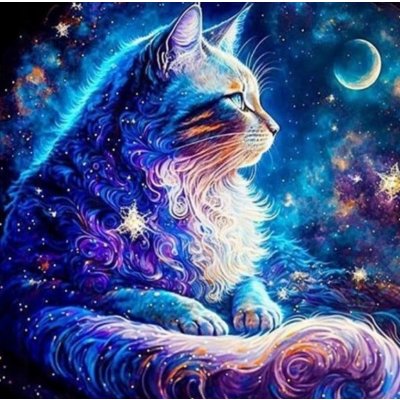 NORIMPEX Diamantové malování Vesmírná kočka 30 x 40 cm – Hledejceny.cz