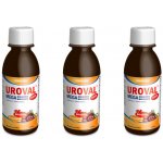 Walmark Uroval megabrusinky sirup forte 3 x 200 ml – Hledejceny.cz