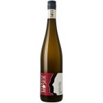 Weingut Hermann Moser Kaiserstiege Rohrendorfer Veltlínské zelené suché bílé 2020 12,5% 0,75 l (holá láhev) – Hledejceny.cz