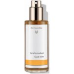 Dr. Hauschka pleťové tonikum 100 ml – Hledejceny.cz