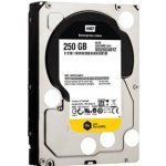 WD RE4 250GB, WD2503ABYZ – Hledejceny.cz