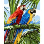 Norimpex Diamantové malování Papoušci ve větvích 30 x 40 cm – Sleviste.cz