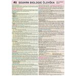 Souhrn biologie člověka pro SŠ – Hledejceny.cz