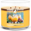 Svíčka Goose Creek Candle Paradise Tea 411 g