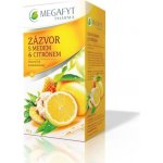 Megafyt Ovocný Zázvor s medem a citrónem 20 x 2 g – Hledejceny.cz