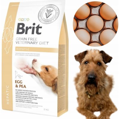 Brit Veterinary Diet Dog Grain Free Hepatic 2 kg – Zbozi.Blesk.cz