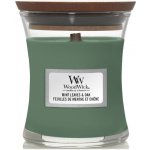 WoodWick Mint Leaves & Oak 85 g – Sleviste.cz