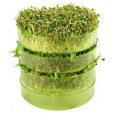 Misky na klíčení 3ks – Sleviste.cz