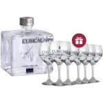 Cubical London Dry Gin Premium 40% 0,7 l (holá láhev) – Zboží Dáma Cubical London Dry Gin Premium 40% 0,7 l (holá láhev) – Zboží Dáma