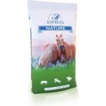 ENERGYS Sladový květ sypký 20 kg – Zboží Dáma