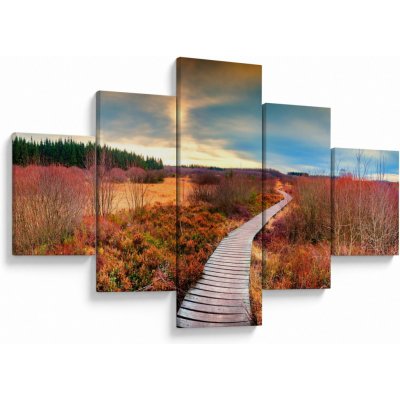 Obraz - Podzimní cesta krajinou, pětidílný 125x70 cm – Hledejceny.cz