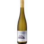 Schwedhelm Riesling Wotenfels Erste Lage 2021 12,5% 0,75 l (holá láhev) – Hledejceny.cz