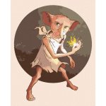 Zuty Dobby harry potter 40 x 50 cm bez rámu a bez vypnutí plátna 8596530132400 – Hledejceny.cz
