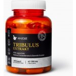 Anjolie Tribulus extrakt 95% 100 kapslí – Hledejceny.cz