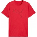 Puma M Tad Ess Heather Cat Tee For All Time Red Heather/Black – Hledejceny.cz