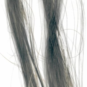 Elyseé Infinity Hair Color Mousse barevné pěnové tužidlo 1.1 Silver stříbrná 75 ml