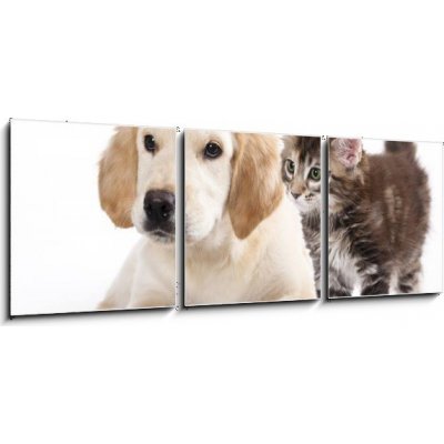 Obraz 3D třídílný - 150 x 50 cm - Cat and dog Kočka a pes – Zboží Mobilmania