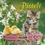 Přátelé nástěnný 33 x 33 cm 2026 – Zboží Mobilmania