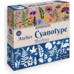 SentoSphere Kyanotypie Herbářská dílna – Hledejceny.cz