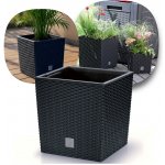 Prosperplast RATO LOW Květináč 17x17x17 cm ratan antracit – Zboží Mobilmania