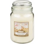 Airpure Vanilla Cupcake 510 g – Hledejceny.cz