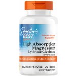 Doctor’s Best Magnesium High Absorption 100% chelated hořčík chelát 120 tablet – Hledejceny.cz