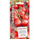 Dobrá semena Rajče tyč. koktejlové odolné k plísni Cocktail Crush F1 10s – Zboží Dáma