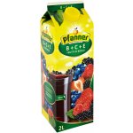 Pfanner Nektar B-C-E lesní plody 30% 2 l – Zboží Mobilmania