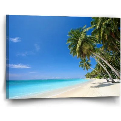 Sablio Obraz Palmová pláž - 60x40 cm – Hledejceny.cz