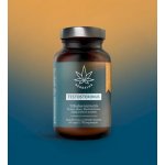 Herbalus Testosteronus 60 kapslí – Hledejceny.cz