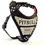 Bestia Collars Postroj pro psa Metal Na míru s vlastním jménem – Zboží Mobilmania