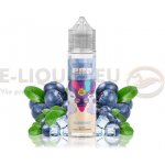 TI Juice Bar Series S & V Blueberry 10 ml – Zboží Dáma