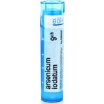 ARSENICUM IODATUM POR 9CH GRA 1X4G – Hledejceny.cz