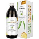 NefdeSanté Aloe s ananasem 500 ml – Hledejceny.cz