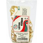 Sunfood Lotus kořen sušený 20 g – Zboží Dáma