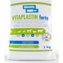 VITAPLASTIN forte 1 kg