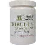 MedinTerra Tribulus 100 tablet – Hledejceny.cz