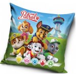 Carbotex Polštář Tlapková patrola Paw Patrol Fantastická pětka 40x40 – Hledejceny.cz