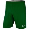 Pánské kraťasy a šortky Nike NK DRY LSR IV short aj1245-302