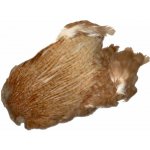 Hends Products skalp z kohouta Cock Capes – Hledejceny.cz
