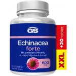 GS Echinacea Forte 600 mg XXL 90 + 20 tablet – Hledejceny.cz